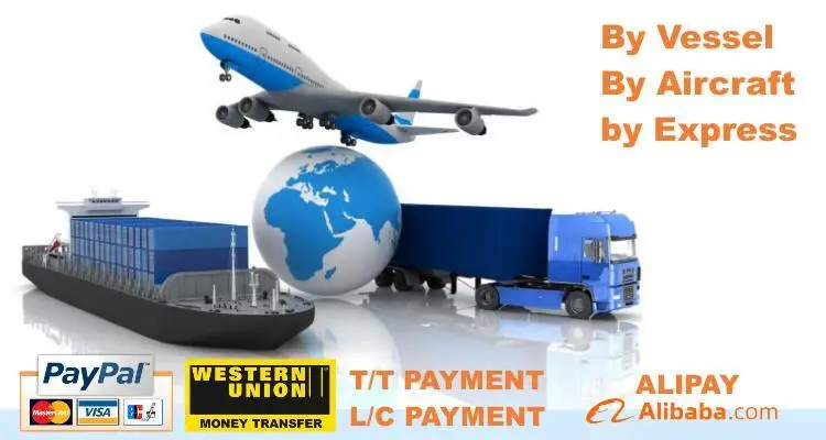 JIGGINGPRO 60g 80g 100g 120g 150g 180g 200g Coso Jig Richiamo Di - Foto 13