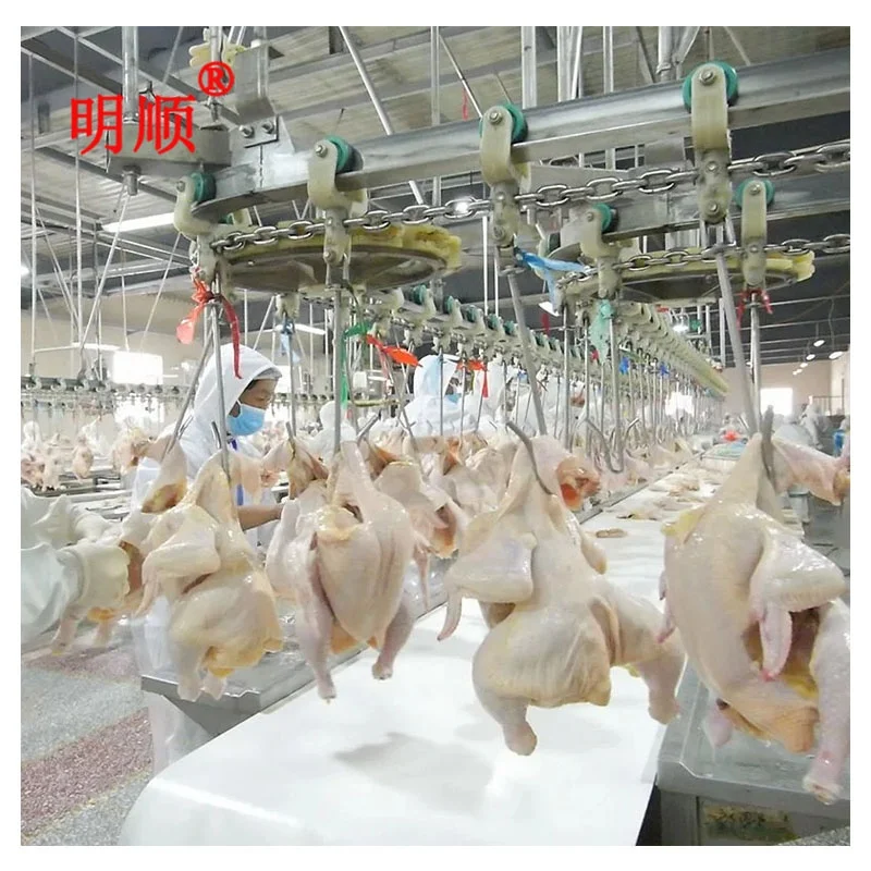 Poultry Slaughtering Production Line  1000-2000bph Halal Chicken Slaughtering Machine Chicken Slaughter House