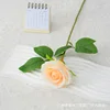 Champagne-colored silk