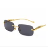Fashion Sunglasses