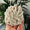 Rosa del Desierto Piedra Bruta