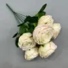 Rosa pálido