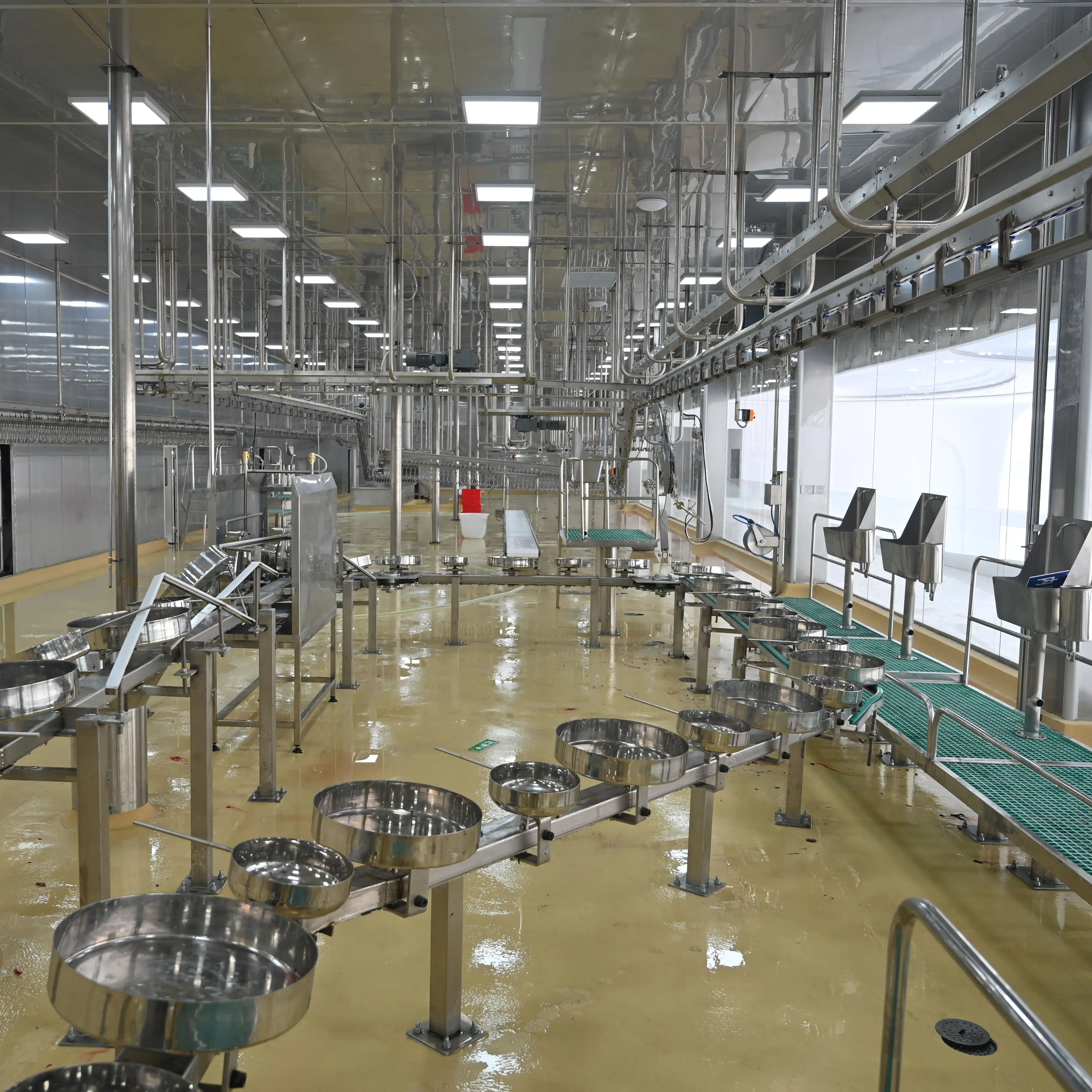 Automatic sheep and goat slaughtering line with carcass processing and track system