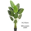 green Type A 210cm