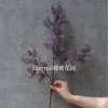 Hairy fruit