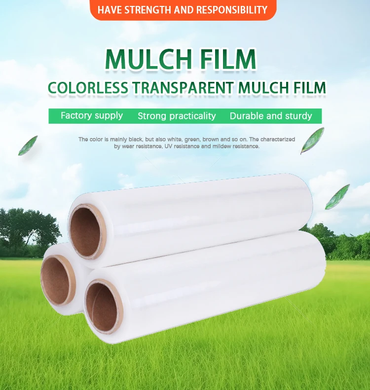 Customizable Pbat Biodegradable Plastic Mulch Film For Agriculture