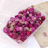 Fragola viola (circa 10 grammi)