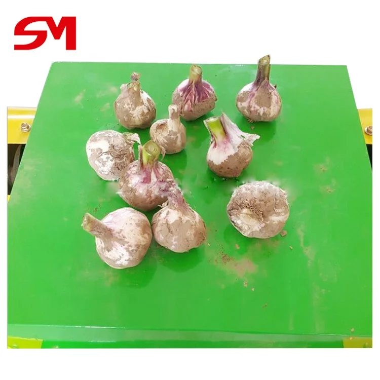Excellent Cutting Machine Onion Leaf Cutter