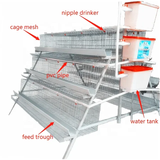 QIANQIN Europe Factory A Type Laying Hens Battery Chicken Cage With Chicken House For Africa