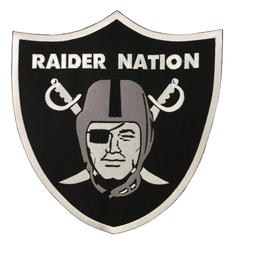 aminco NFL Oakland Raiders Team Logo Pin, Team Color (NFL-PN-001-08)