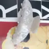 1#-10CM