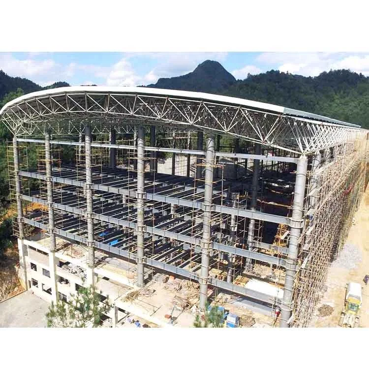 Professional Design Steel Space Frame Structure Arched Roof Construction Structure