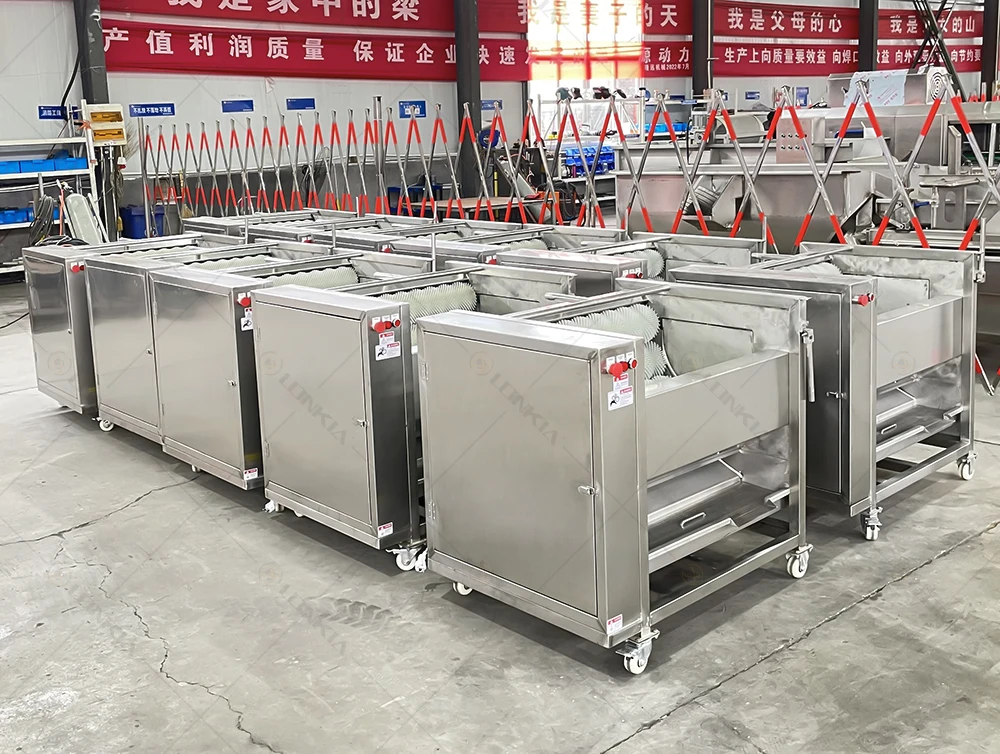 Carrot Cleaning Machine supplier