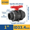 DN25