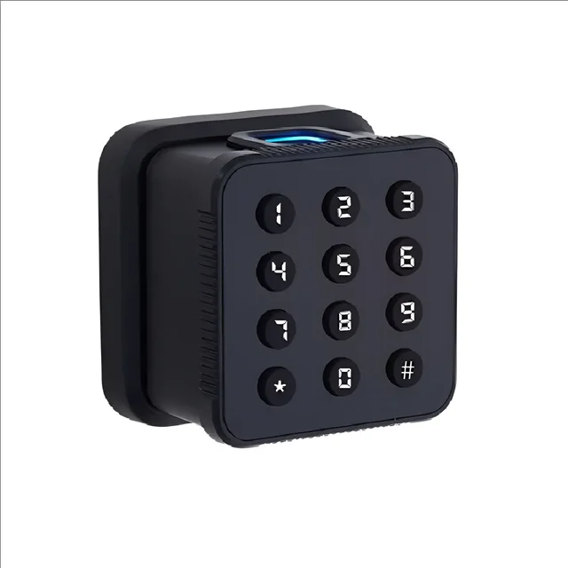 FL06 New Tuya Smart Fingerprint Digital Password Keyless Door Lock with Physical Press Button