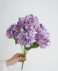 สีม่วง