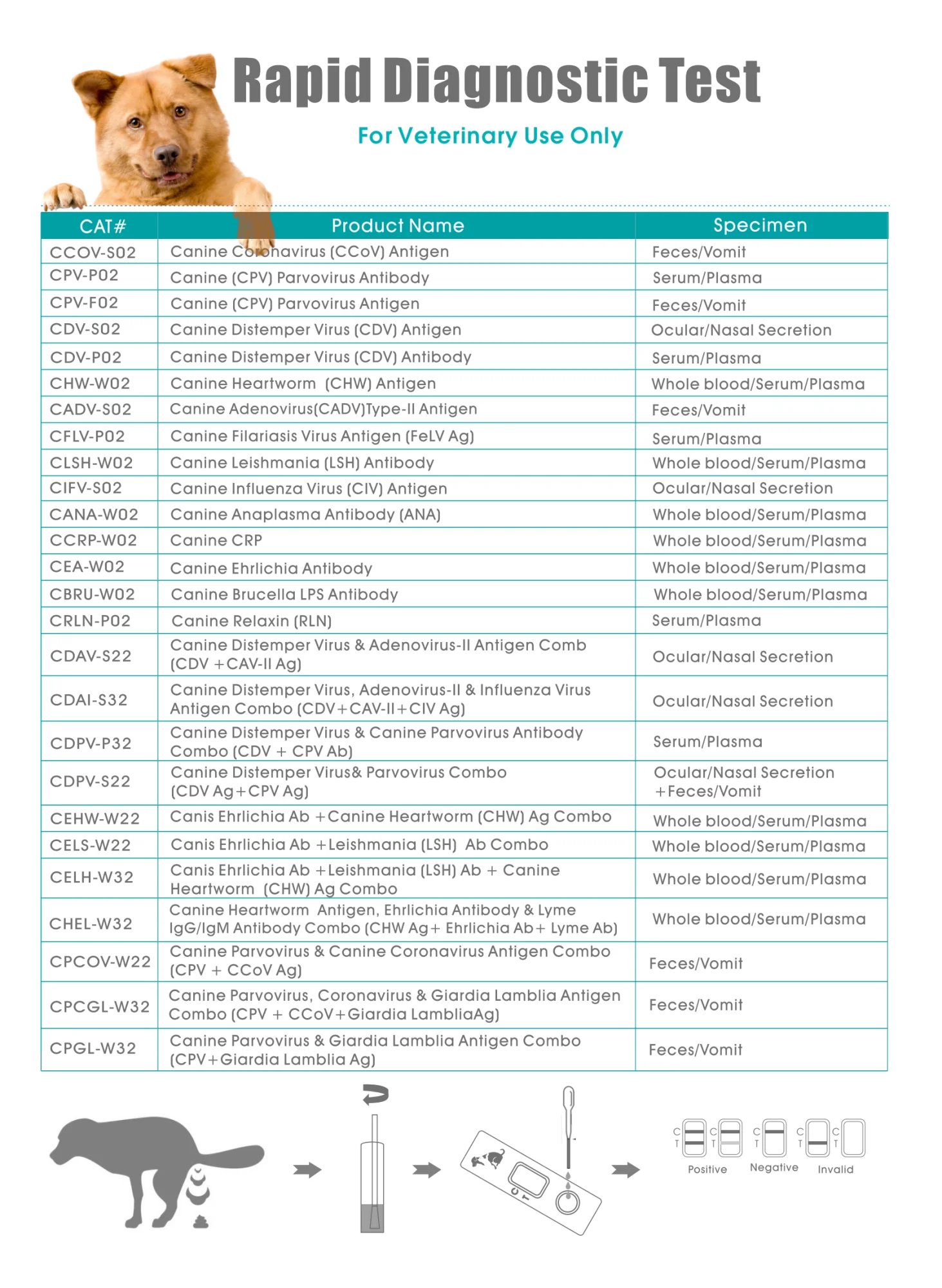 Canine Parvovirus & Giardia Lamblia Antigen Combo(cpv+giardia Lamblia