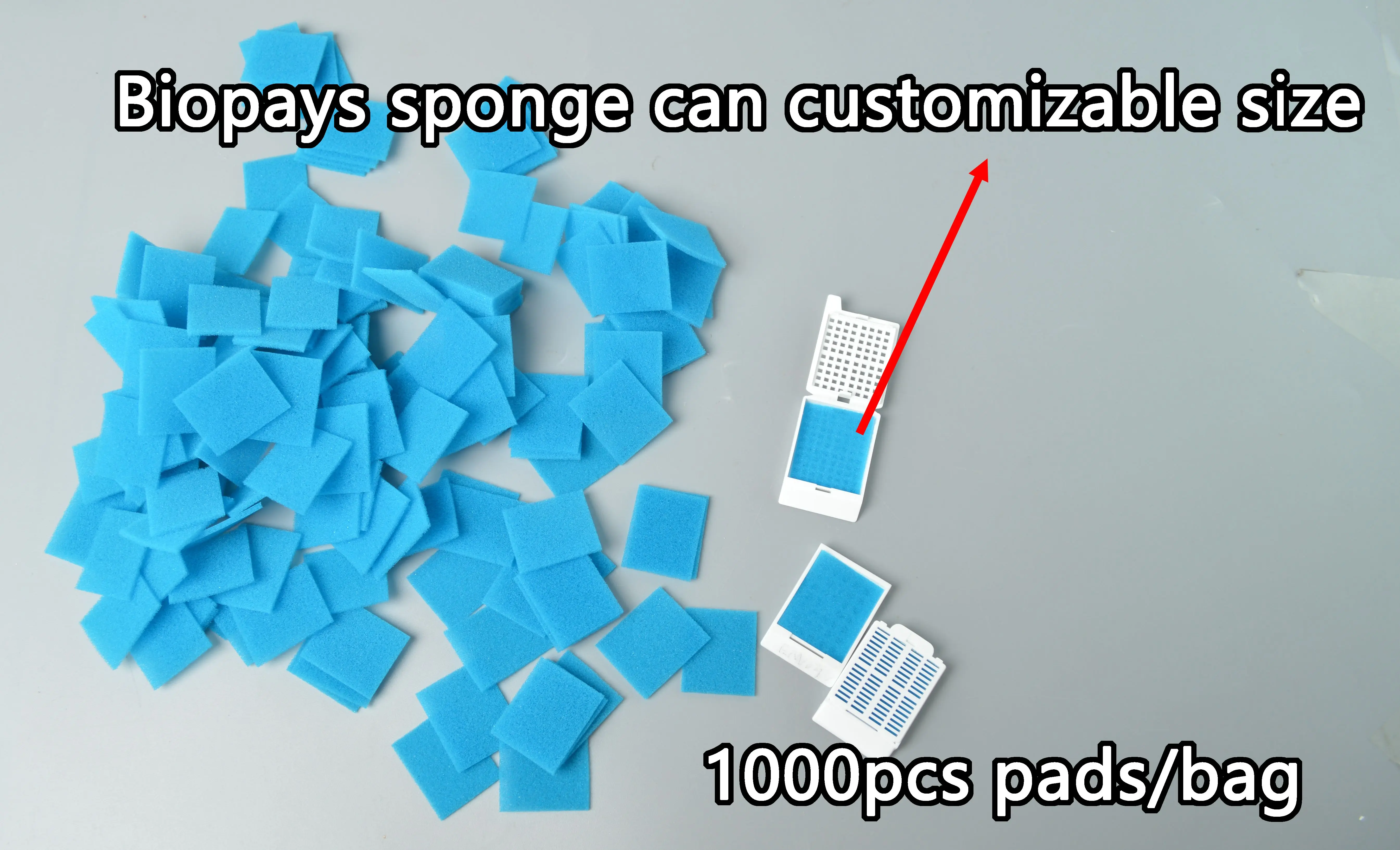 Tissue Biopsy Foam Pads