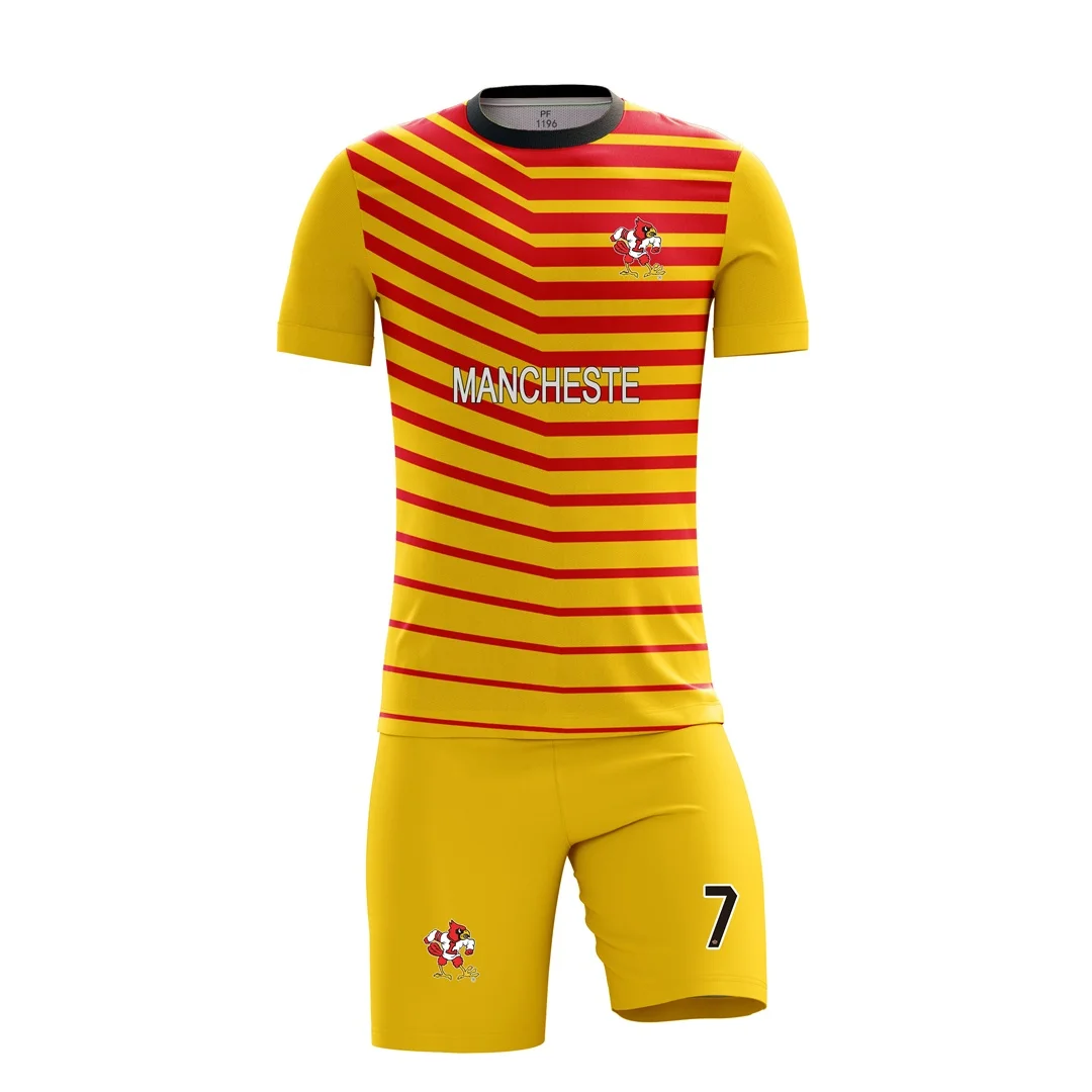 Cheap Soccer Jerseys - Give Your Soccer Team an Outstanding Look – Sarson  Sports USA, Inc.