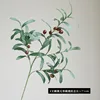 71 cm with fruit