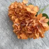 BH002-6