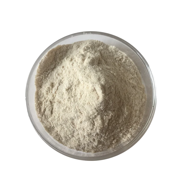 Anti-allergic100 миллиарда КОЕ/г Lactobacillus Reuteri здоровья человека для пищевых продуктов