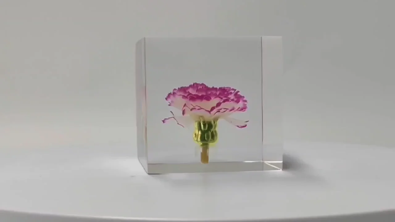 Custom Clear Lucite Cube Acrylic Embedding Flower Seeds Leaves Resin
