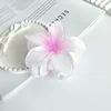 White-pink