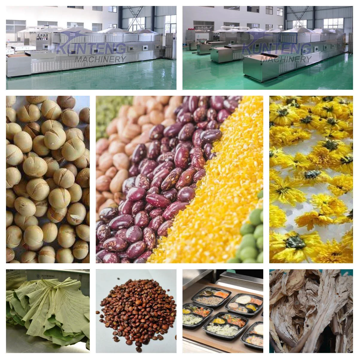 Eco-Friendly Source Larvae Drying Microwave Dryer Machine Bsf Equipment and Sterilization Machine