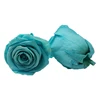 rose tiffany blue