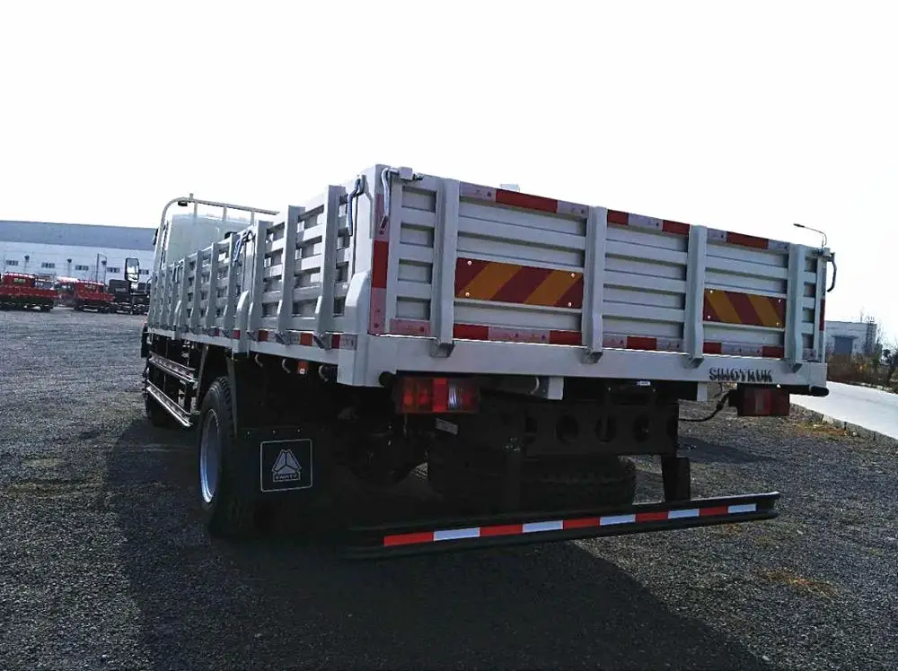 T-KING 4x2 Small Cargo Truck 4 Tons Lorry Truck for Sale in Africa
