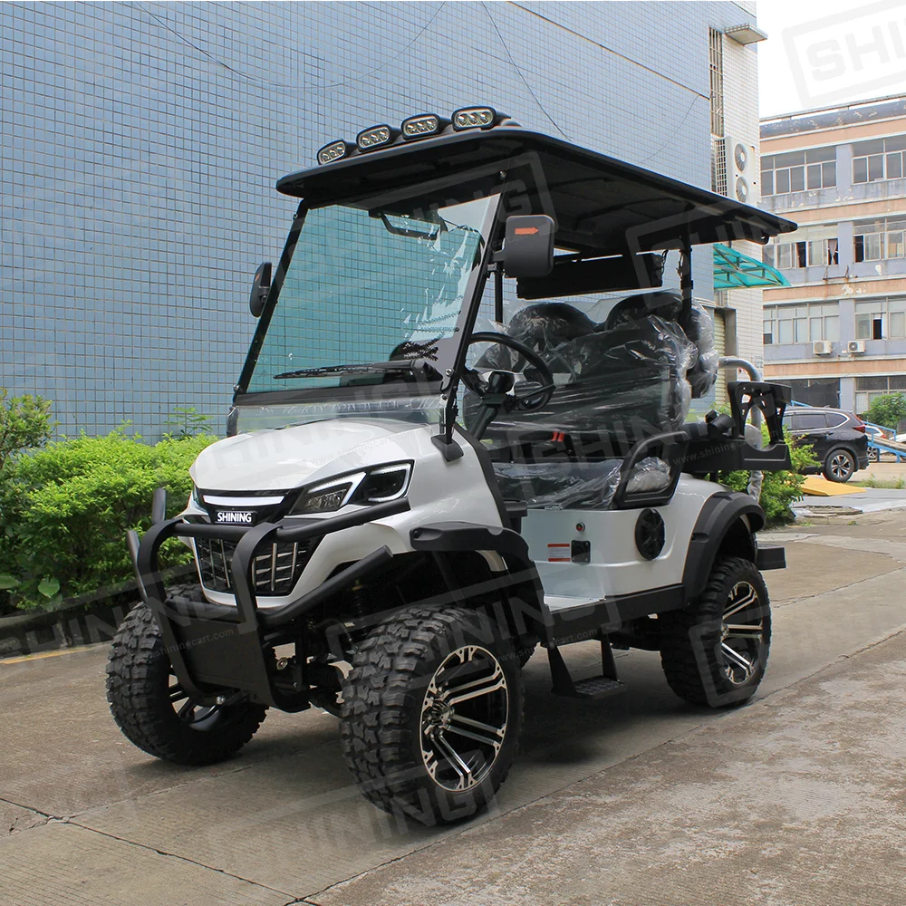Shininglsv Electric 4-Passenger Chinese Golf Cart Single Cruiser for Canada Roads Manufactured in Japan