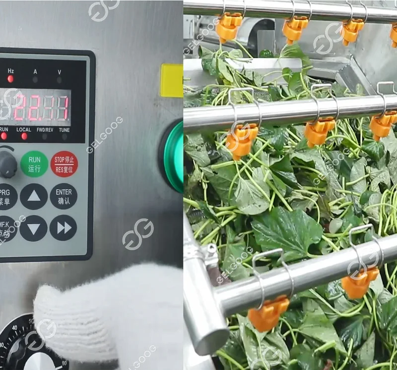 Commercial Clean Root Leafy Vegetable Asparagus Washing Equipment Line Vegetable Washing Peeling Machine