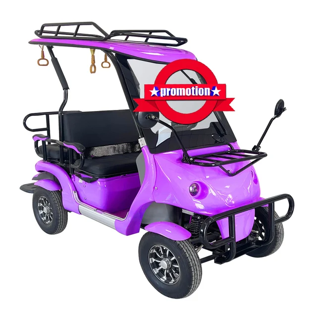 2024 adult mini golf cart cover golf cart electric golf cart with 4 seats