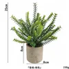 Austrobailey powder-free ahe369-066