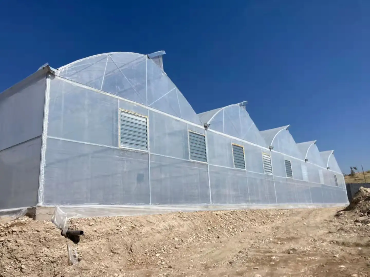 Customized Size Agricultural Greenhouse Multispan Greenhouse Vegetable