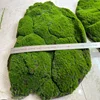 Green-75cm