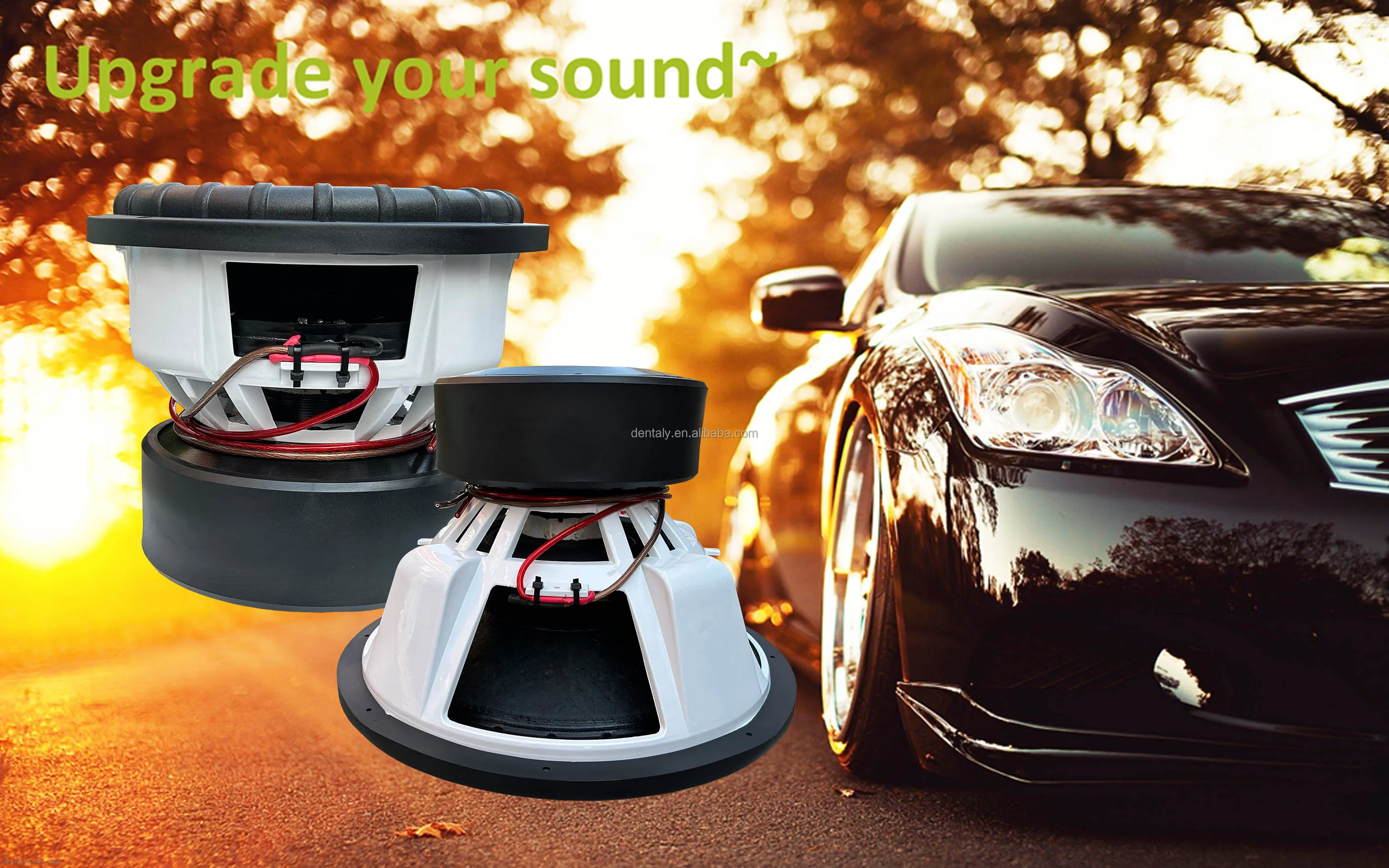 5000W RMS Dual 1 Ohm Competition Subwoofer - 10000W Max Power Car Audio ...