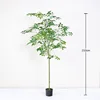 Happiness Tree (Type A) - 210cm (comes with black base pot)
