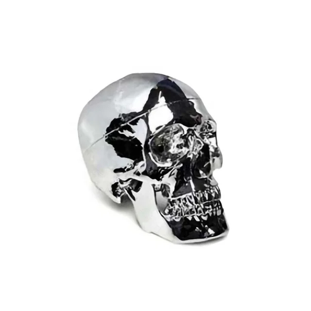 DARHMMY  Natural Large Watanabe Human Skull Model for Medical Science