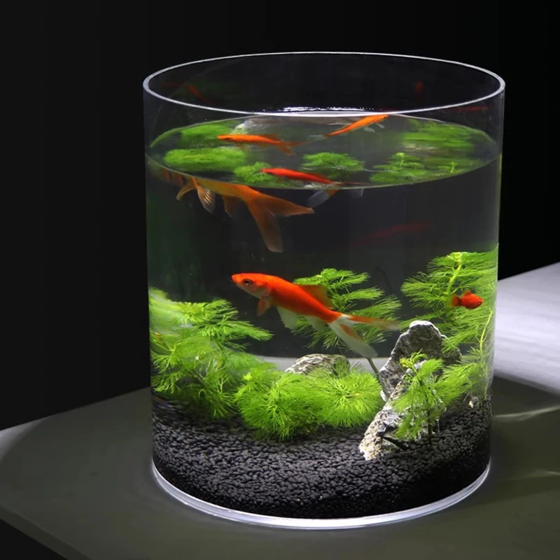 Customization Acrylic Fish Tank High Transparent Aquarium Round Fish   Hcb4b47528c0443dcba5e9575404cd8bfP 