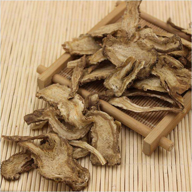 Traditional Chinese Medicine hierba planta angelica root