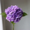 Blue Violet
