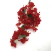 Rosso8