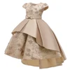 T5170 champagne