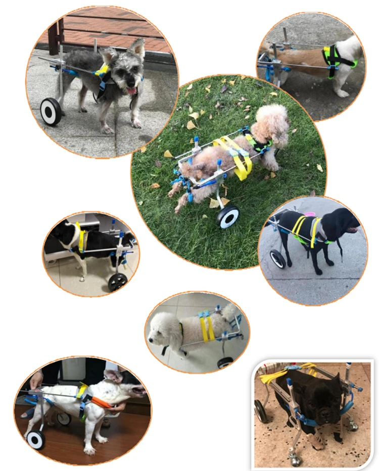 Dog Cart 2 Wheels Chair Pet Mobility Dog Wheelchair For Handicapped Pet