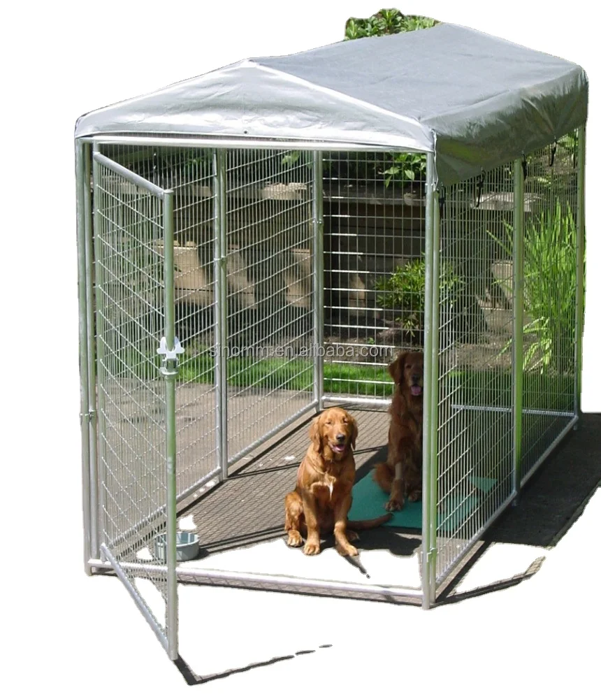 Dog fence hotsell for sale