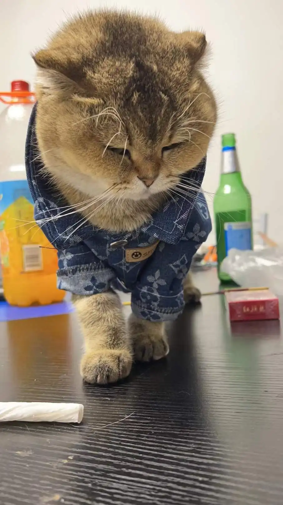 Fashion Brand Designer Autumn Winter Pet Clothes Pet Dog Denim Shirt