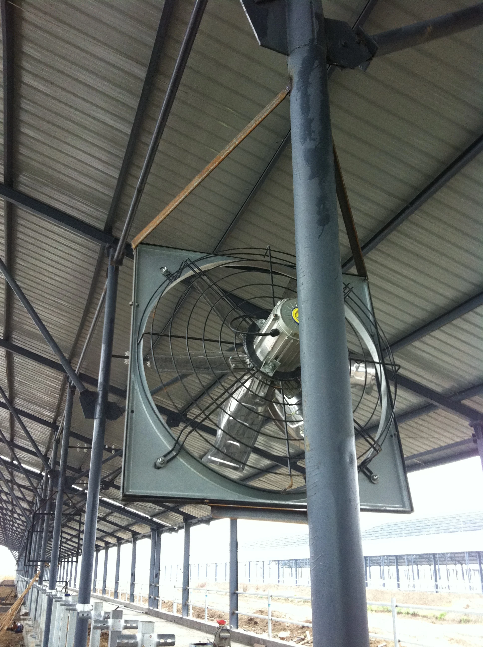 Dairy Farm Hanging Dairy Farm Cooling Fan With 4 Blades Buy 35inch