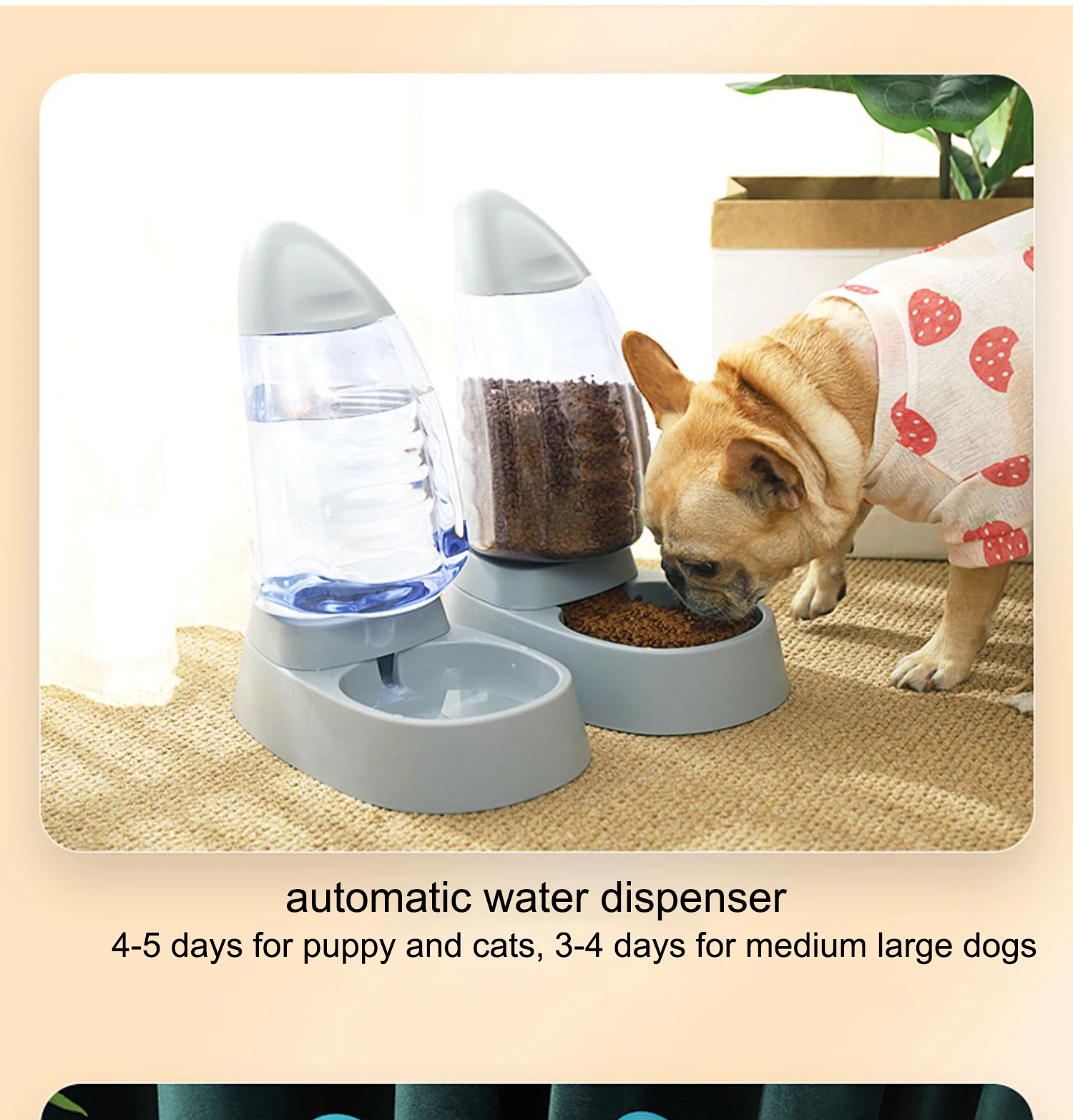 Automatic Fill Pet Water Food Container Bowl For Dogs Drinking